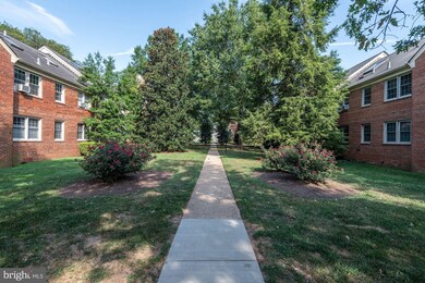 2221 Washington Ave unit 103, Silver Spring, MD 20910 - photo 2