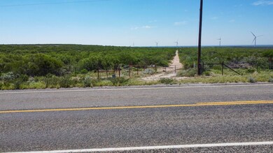 000 Abst 1393 Sur 592, Mirando City, TX 78369 - photo 3