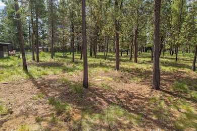 6-web-or-mls-17255 Canvasback Drive-06