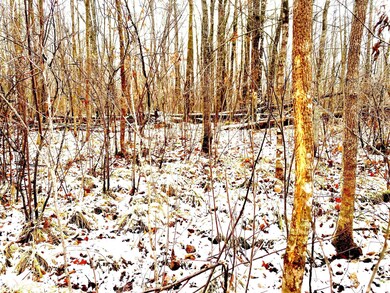 TBD-40AC Highway 27, Onamia, MN 56359 - photo 6