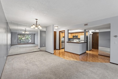 4710 58th Ave N unit 202, Minneapolis, MN 55429 - photo 5