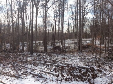 11 Bannister Town Rd, Louisa, VA 23093 - photo 4