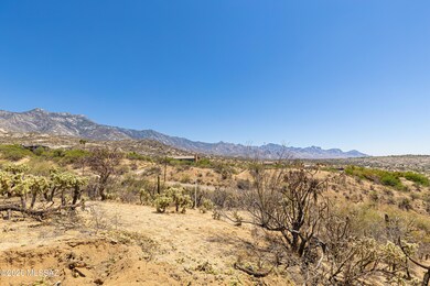 Catalina Vistas