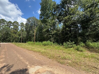 0 Mcrae Cir, Conroe, TX 77303 - photo 2