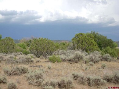 TBD Westridge Rd, Cedaredge, CO 81413 - photo 5