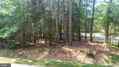 11737 Wollaston Cir, Swan Point, MD 20645 - photo 5