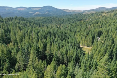DJI_0357