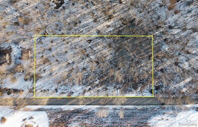 000 Roberts, Iosco Township, MI 48137 - photo 5