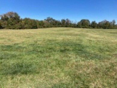 0 Cudd Dr unit SPN331649, Chesnee, SC 29323 - photo 2