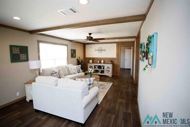 4215 Balsa St, Carlsbad, NM 88220 - photo 5