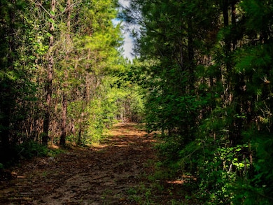 02 Bayshore Dr unit 2, Seneca, SC 29672 - photo 4