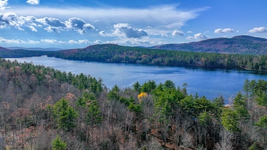 492chapman moses road