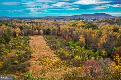 0 Whorton Hollow Rd, Castleton, VA 22716 - photo 6