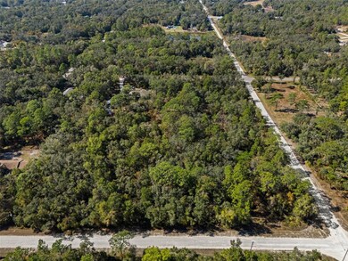 00 Norway St, Webster, FL 33597 - photo 2