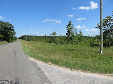 0 Ebenezer Rd, Ellaville, GA 31806 - photo 3