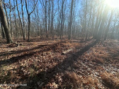 Lot 55 Tuscarora Ct, Beach Lake, PA 18405 - photo 3