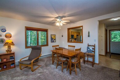 160 Northbrook Cir unit 88, Conway, NH 03860 - photo 6