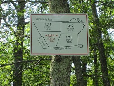 390 Capn Lijah Rd, Centerville, MA 02632 - photo 5