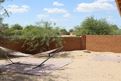 Backyard3