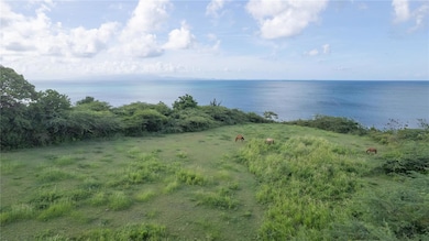 2 Calle Cañon, Vieques, PR 00765 - photo 2