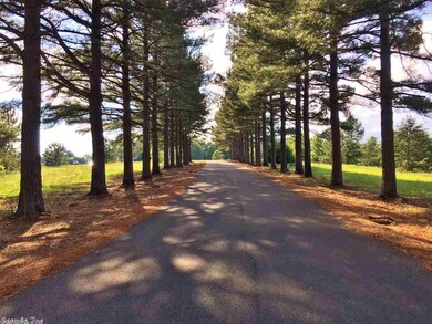 Lot 6 Cr 7612, Brookland, AR 72417 - photo 3