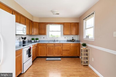 2381 Minebank Rd, Strasburg, VA 22657 - photo 5