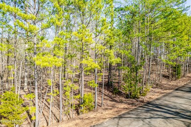 310 Tumbling Shoals Ct, Gray, GA 31032 - photo 6