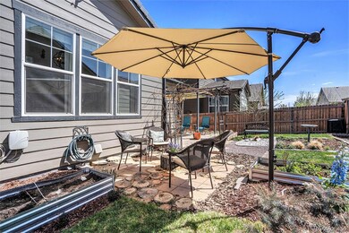 Back Yard...notice the tree stump flooring.  A gre