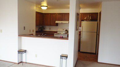 Kitchen at Living Room