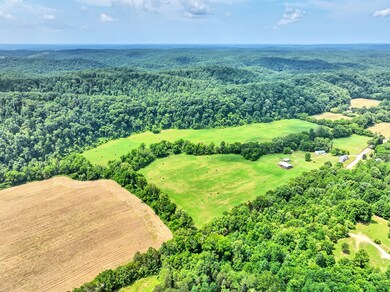 8318 Sinking Creek Rd, Linden, TN 37096 - photo 6