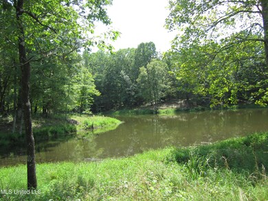 0 Mitchell Duke Rd, Pontotoc, MS 38863 - photo 6