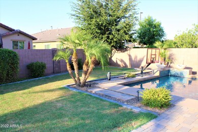 Backyard Oasis