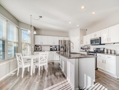 1864 Mountain Maple Ave, Highlands Ranch, CO 80129 - photo 6