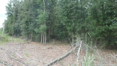 P9090030