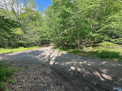 0 Gladstone Rd, West Milford, NJ 07421 - photo 4