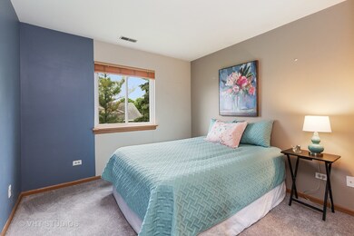 319 Newport Ln unit D2, Bartlett, IL 60103 - photo 5