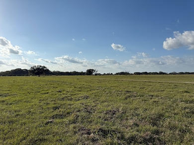 31619 Texas 36, West Columbia, TX 77486 - photo 3