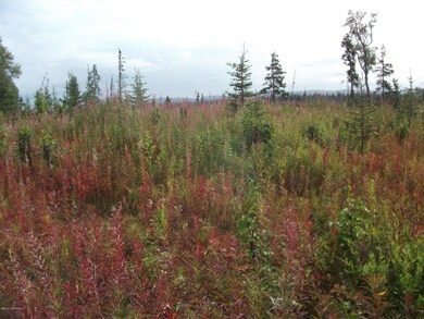 Big Meadow