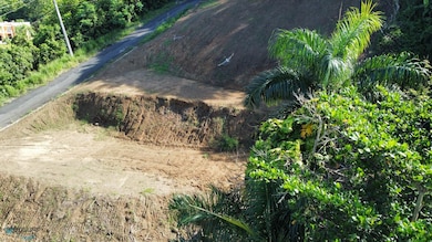 n/a Camino Los Ruiz unit n/a, Trujillo Alto, PR 00976 - photo 5