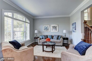 3807 Lacy Blvd, Falls Church, VA 22041 - photo 4