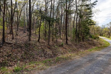0 Cross Mountain Rd unit 663155, Luray, VA 22835 - photo 7