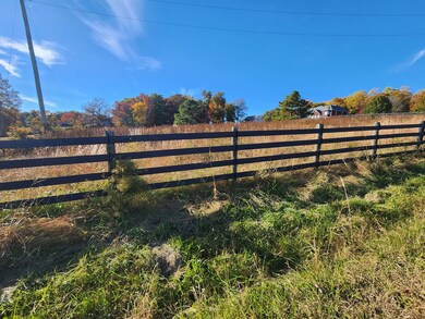 000 9 81 Acres Quinland Lake Rd N, Cookeville, TN 38506 - photo 6