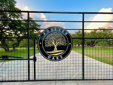 20144 High Bluff Rd, Helotes, TX 78023 - photo 2