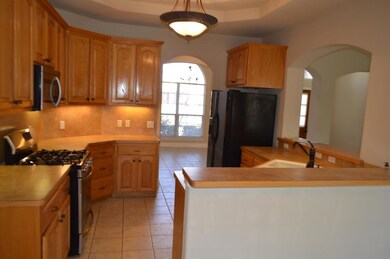 607 Persimmon Ct, Fredericksburg, TX 78624 - photo 6