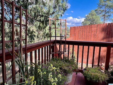 33 Mulberry St, Mimbres, NM 88049 - photo 7