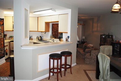 11258 Harbor Ct unit 11258, Reston, VA 20191 - photo 6