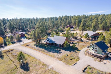 475 Hills Cir, Pagosa Springs, CO 81147 - photo 4