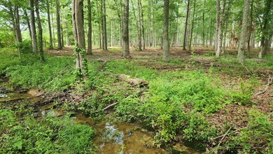 0 Fredonia Rd unit RTC2658031, Manchester, TN 37355 - photo 2