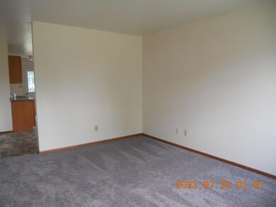 423 Avondale Ave, Marion, OH 43302 - photo 6