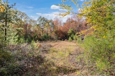 TBD Long Swamp, Lot 3, Berwick